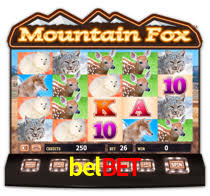 belbet.com